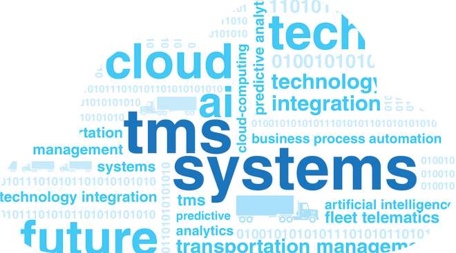 TMS word cloud